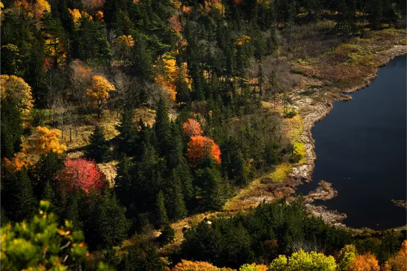 Acadia National Park Maine Usa