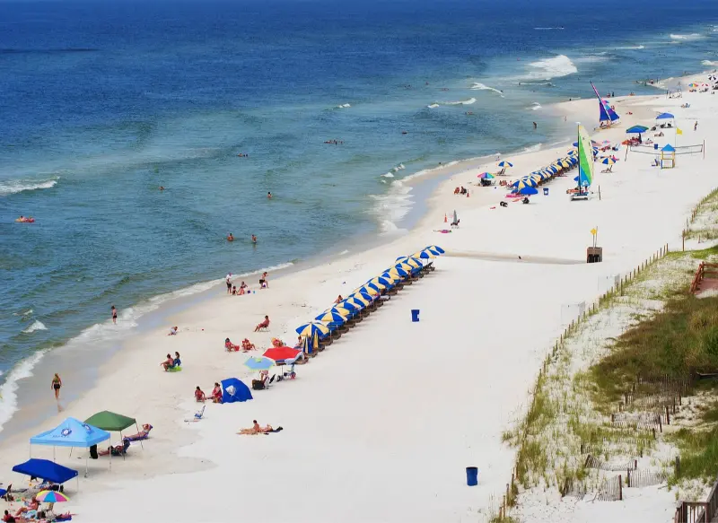Beach In Florida 04