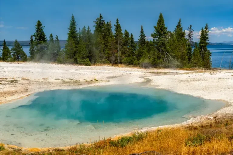 Blue Thermal Water Surging Spring Sits Near Yellowstone Lake Wyoming Geothermal Pool