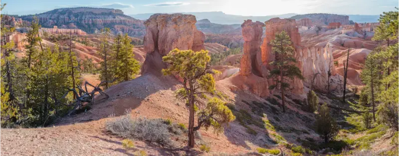 Bryce Amphitheater Sunrise Bryce Canyon National Park Utah