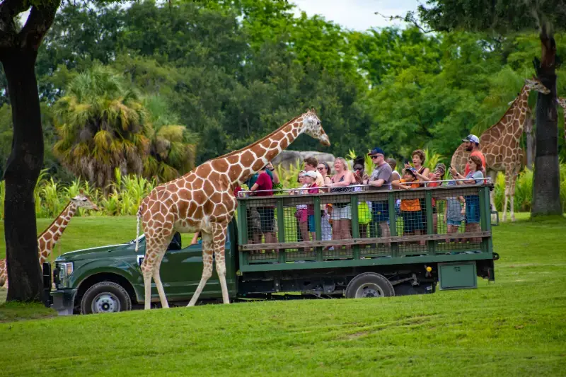 Busch Gardens Tampa Bay Florida