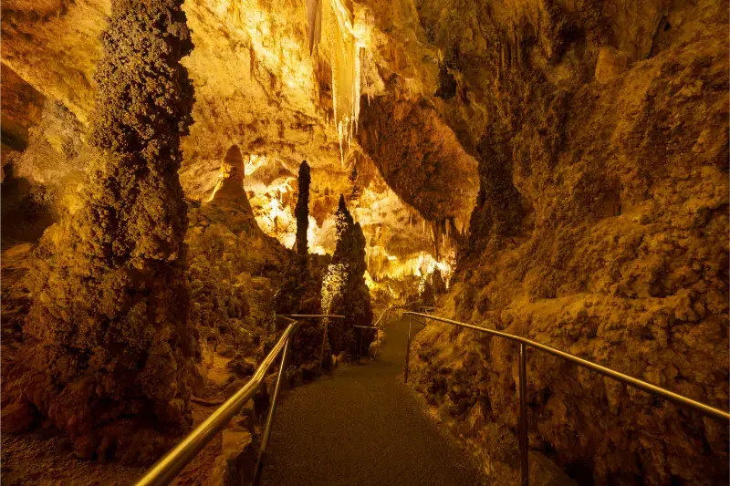 Carlsbad Caverns National Park New Mexico