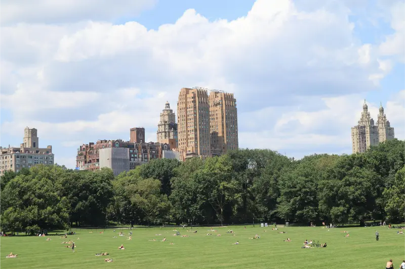 Central Park And Manhattan Skyscrapers