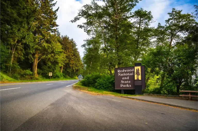 Entrance Sign Redwood National State Parks California