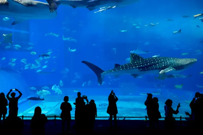 Georgia Aquarium Atlanta