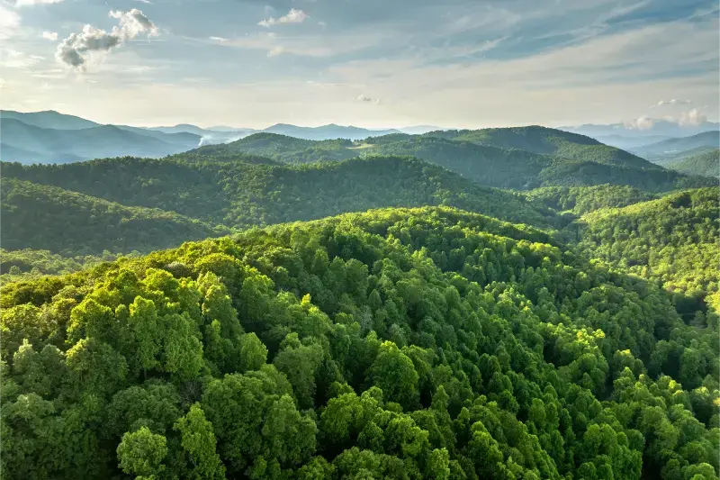 Great Smokey Mountains Summer Season Mountain Wooded Hills North Carolina Appalachians