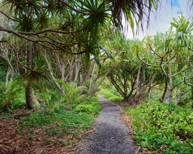Haleakala National Park Island Maui Hawaii