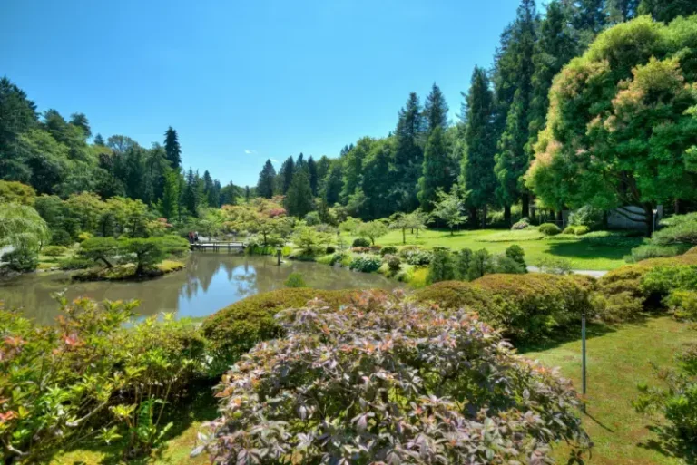 Japanese Garden Washington Park Arboretum Seattle Washington State