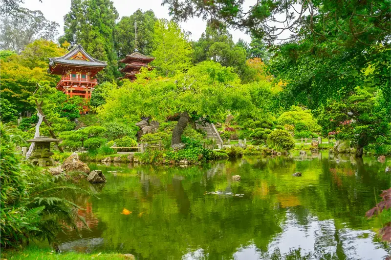 Japanese Tea Garden Golden Gate Park San Francisco