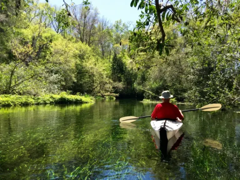Kayak Florida