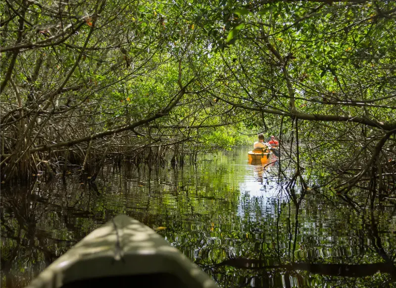 Kayaking Everglades National Park Florida