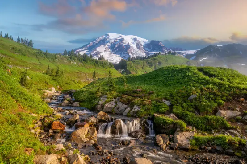 Landscape Mount Rainier National Park USA
