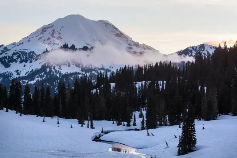 Mount Rainier National Park Sunrise Washington