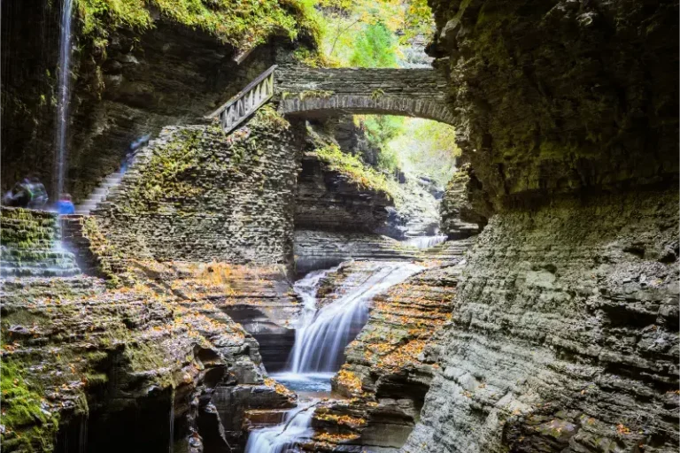 Path Through Small Falls Finger Lakes