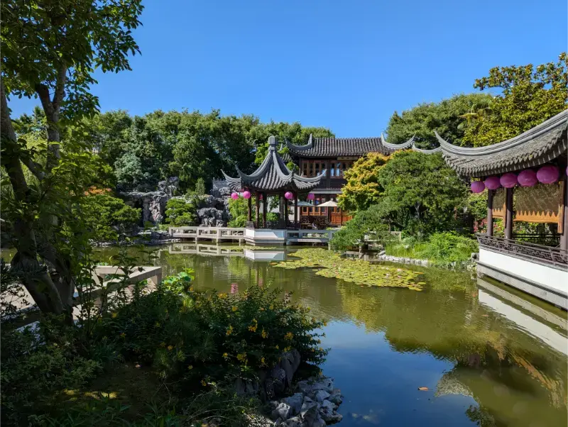 Portland Oregon USA Lan Chinese Garden Portland Classical Chinese Garden Awakening Orchids 2