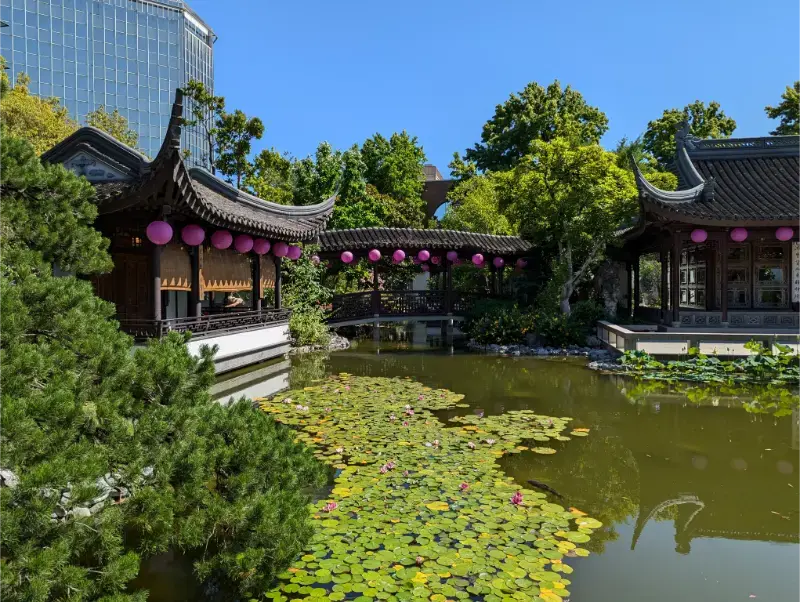 Portland Oregon Lan Chinese Garden Portland Classical Chinese Garden Awakening Orchids 3