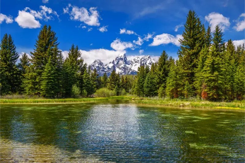 Schwabacher Landing Snake River Grand Teton National Park Wyoming Usa