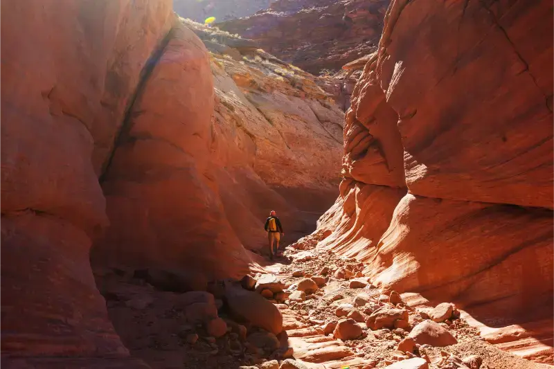 Slot Canyon Grand Staircase Escalante National Park Utah Unusual Colorful Sandstone Formations Deserts Utah Hikers