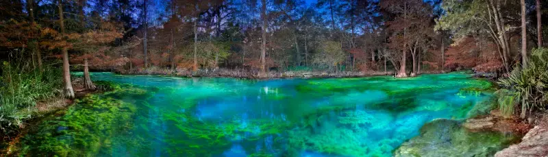 Wes Skiles Peacock Springs State Park Florida